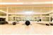 Health club  fitness center  gym