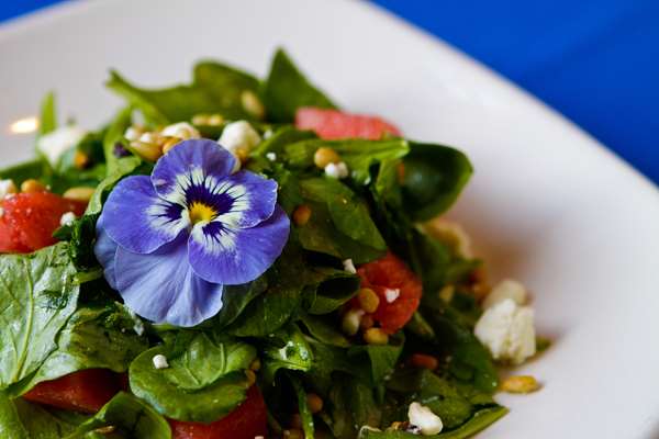 Restaurant - Daniel Webster Inn Sandwich