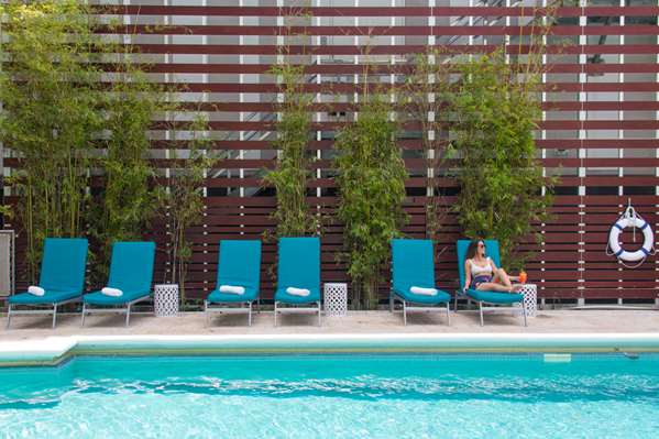 Pool - Dorchester Hotel & Suites Miami Beach