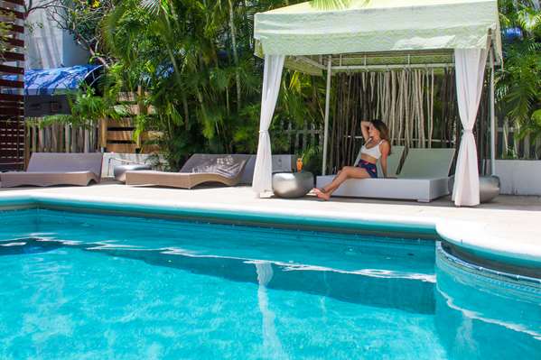 Pool - Dorchester Hotel & Suites Miami Beach