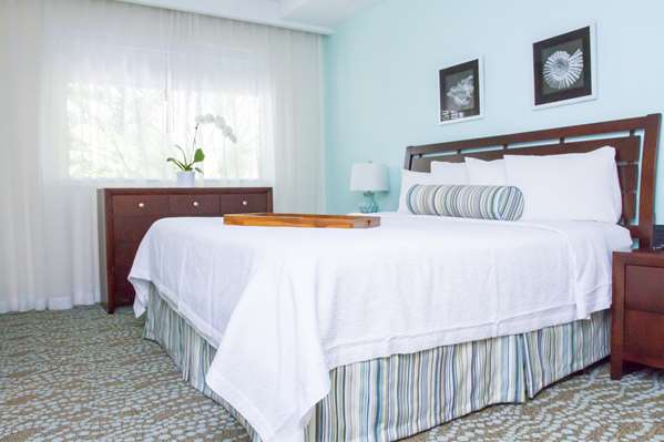 Suite - Dorchester Hotel & Suites Miami Beach