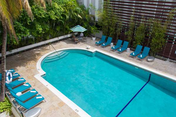 Pool - Dorchester Hotel & Suites Miami Beach