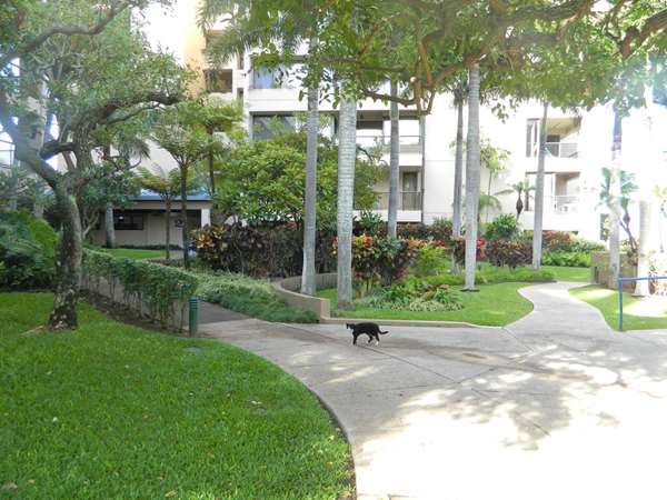 Exterior view - Sands of Kahana Vacation Club Condos Lahaina