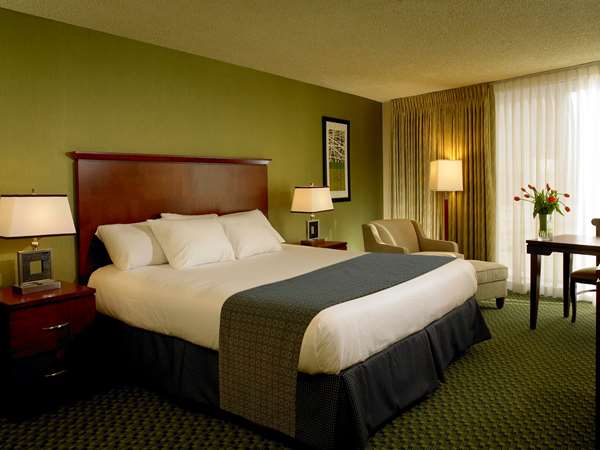 Luxury Guest Room - 1 King Or 2 Queens, Flat Screen Television, Desk, Free Wi-Fi, Reading Chair, Refrigerator, Coffee Maker