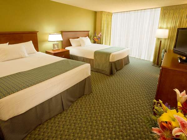 Luxury Guest Room - 2 Queens, Flat Screen Television, Free Wi-Fi, Desk, Refrigerator, Coffee Maker