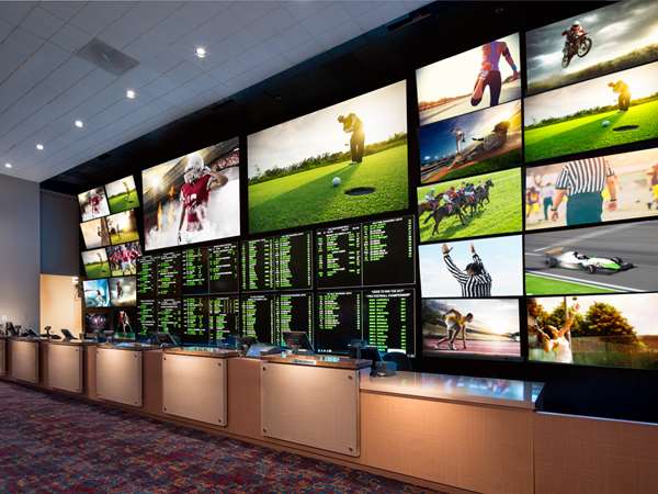 Amenities - Aquarius Casino Resort Laughlin