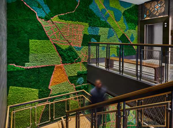 Restaurant - Canopy by Hilton Hotel North Bethesda