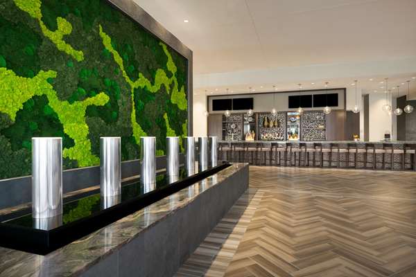 Bar - Embassy Suites Landmark San Antonio - I-10, Exit 556