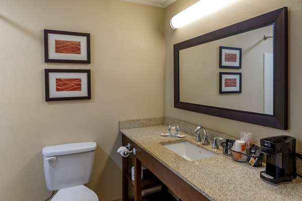  - Comfort Inn Opelika - I-85, Exit 62