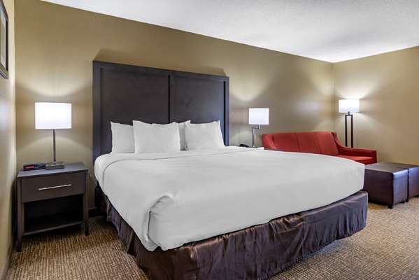  - Comfort Inn Opelika - I-85, Exit 62