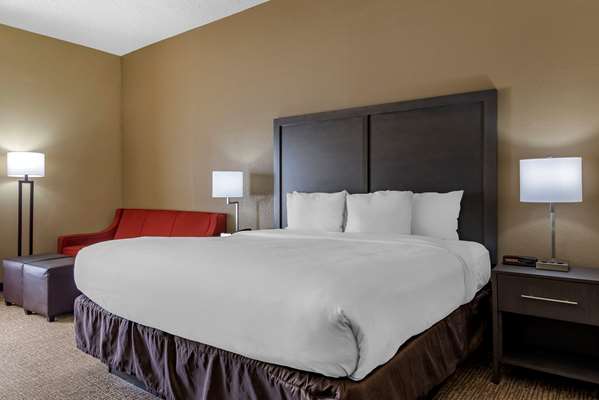  - Comfort Inn Opelika - I-85, Exit 62
