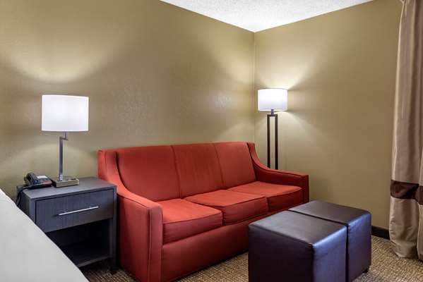  - Comfort Inn Opelika - I-85, Exit 62