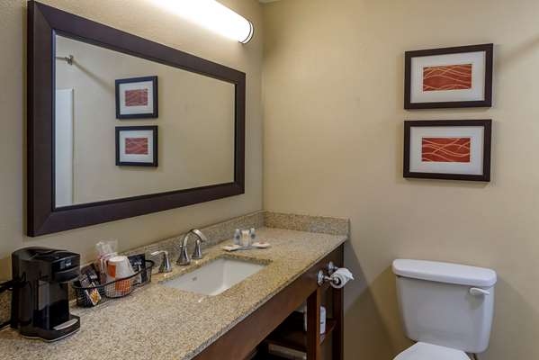  - Comfort Inn Opelika - I-85, Exit 62