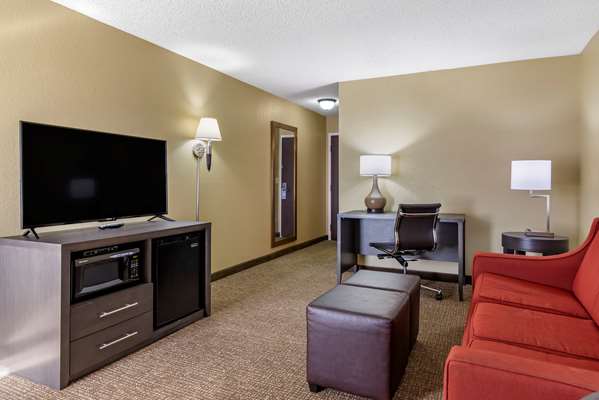  - Comfort Inn Opelika - I-85, Exit 62