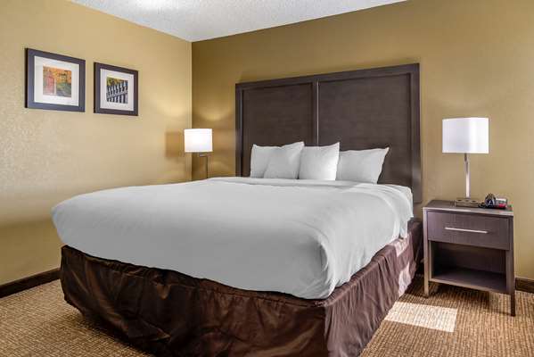  - Comfort Inn Opelika - I-85, Exit 62