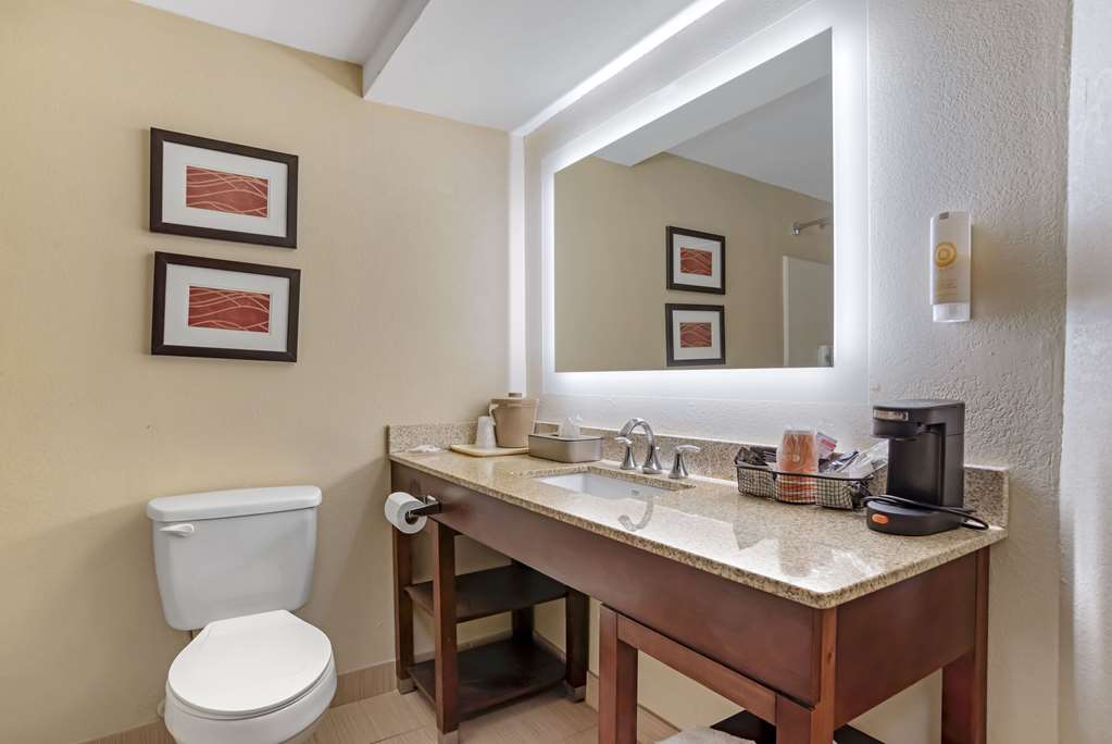 COMFORT INN OPELIKA - AUBURN-guestroom-Guest Room,Bathroom,On-Site.jpg