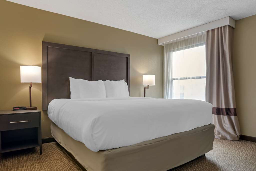 COMFORT INN OPELIKA - AUBURN-guestroom-Guest Room,Suite,On-Site.jpg
