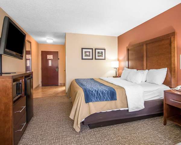  - Comfort Inn Livingston - I-20 & I-59, Exit 17