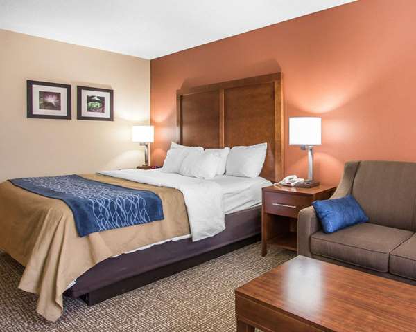  - Comfort Inn Livingston - I-20 & I-59, Exit 17