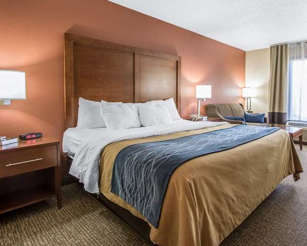  - Comfort Inn Livingston - I-20 & I-59, Exit 17