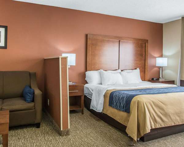 Suite - Comfort Inn Livingston - I-20 & I-59, Exit 17