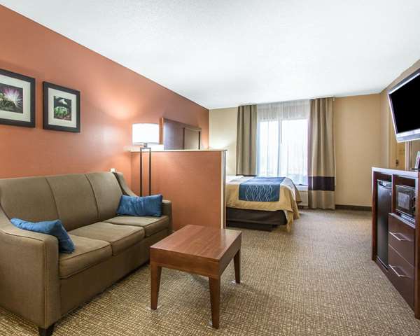 Suite - Comfort Inn Livingston - I-20 & I-59, Exit 17