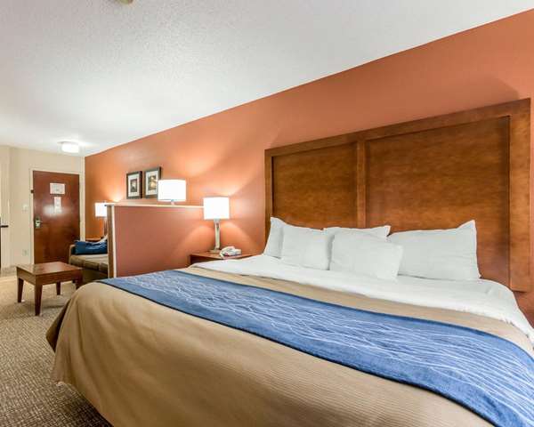 Suite - Comfort Inn Livingston - I-20 & I-59, Exit 17