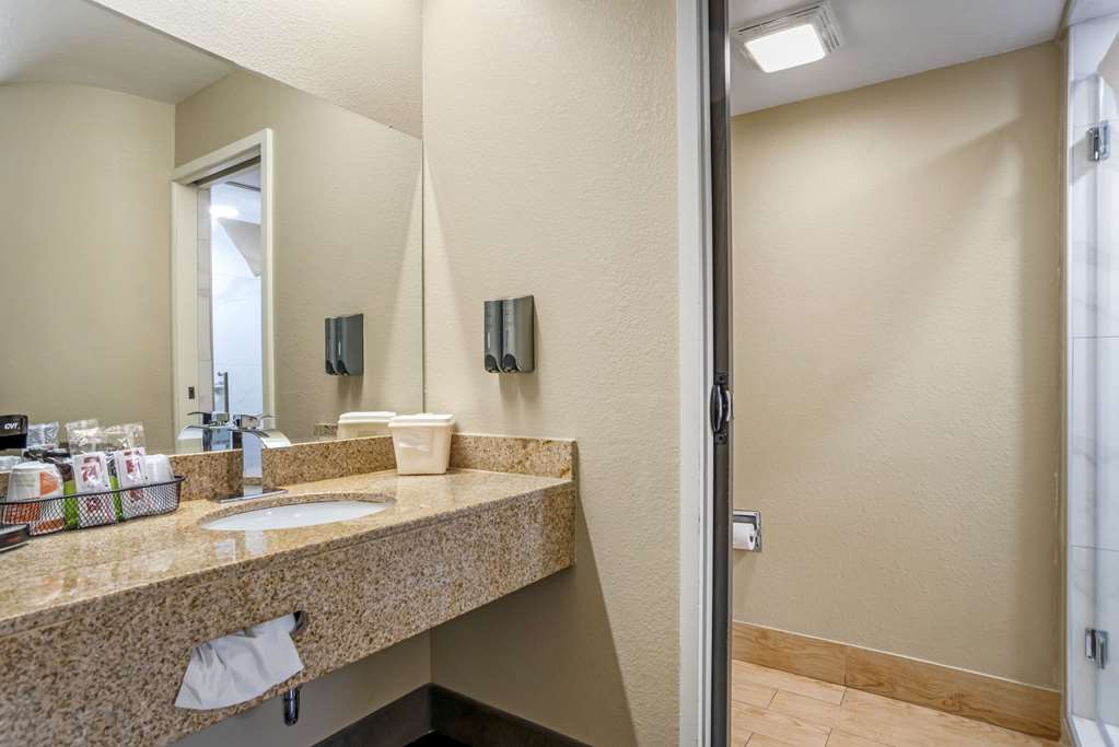 RODEWAY INN TUSCALOOSA NEAR UNIVERS-guestroom-Guest Room,Bathroom,On-Site.jpg