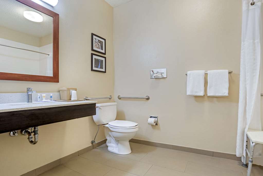 COMFORT INN GREENVILLE I-65-guestroom-Guest Room,Bathroom,On-Site.jpg
