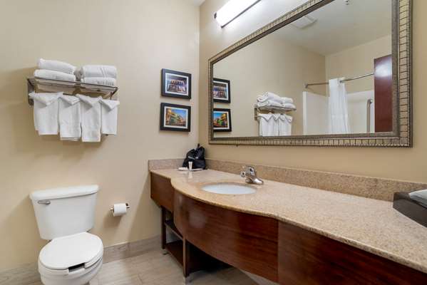 Suite - Comfort Suites Daphne - I-10, Exit 35