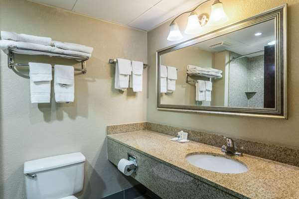  - Comfort Inn Priceville - I-65, Exit 334