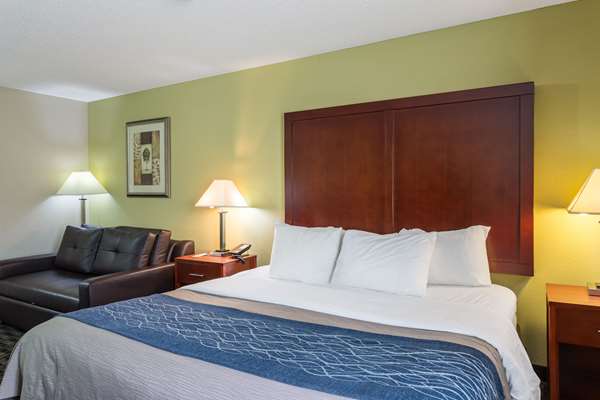  - Comfort Inn Priceville - I-65, Exit 334