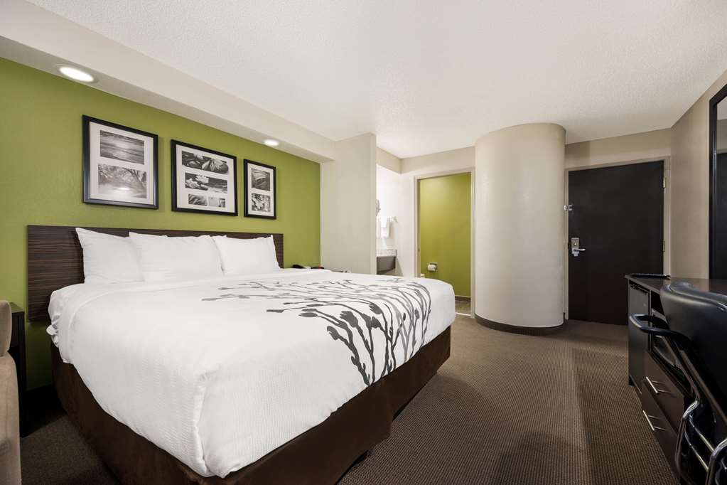 SLEEP INN ATHENS I-65-guestroom-Guest Room,On-Site.jpg
