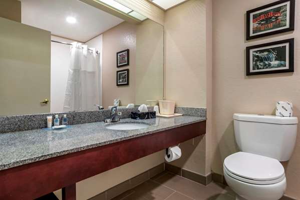  - Comfort Inn Airport Irondale - I-20, Exits 132 & 132B