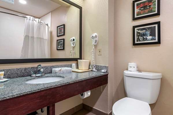  - Comfort Inn Airport Irondale - I-20, Exits 132 & 132B