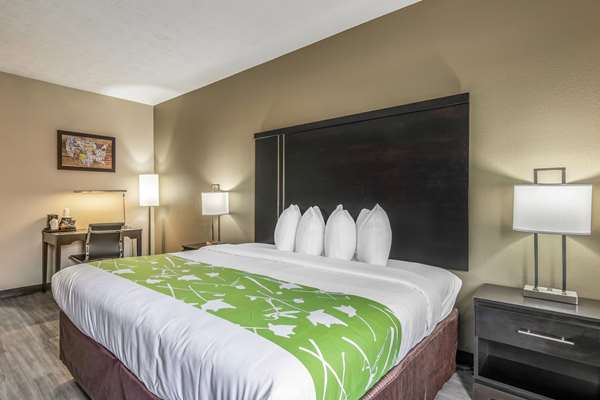 Suite - Econo Lodge Opelika - I-85, Exit 62
