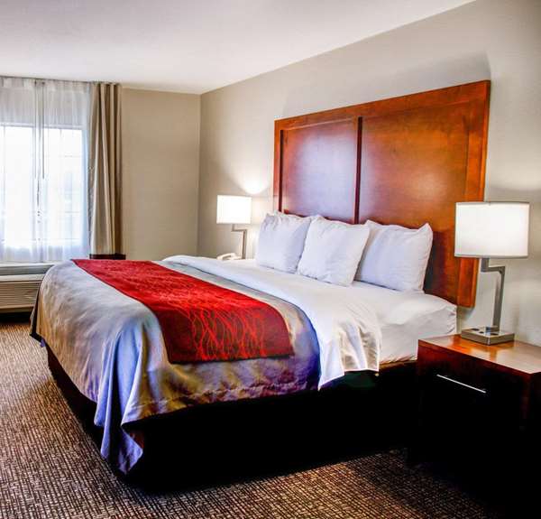 Suite - Comfort Inn Bessemer - I-20 & I-59, Exit 108