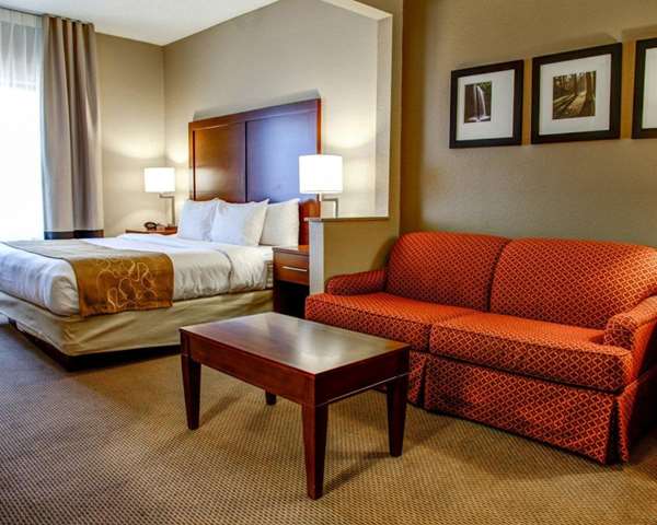 Suite - Comfort Suites Gadsden - I-59, Exit 181