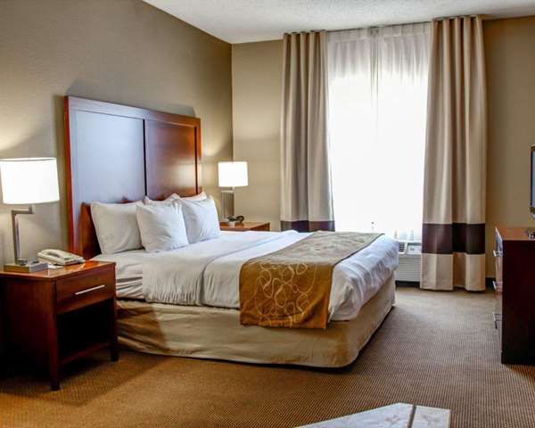 Suite - Comfort Suites Gadsden - I-59, Exit 181