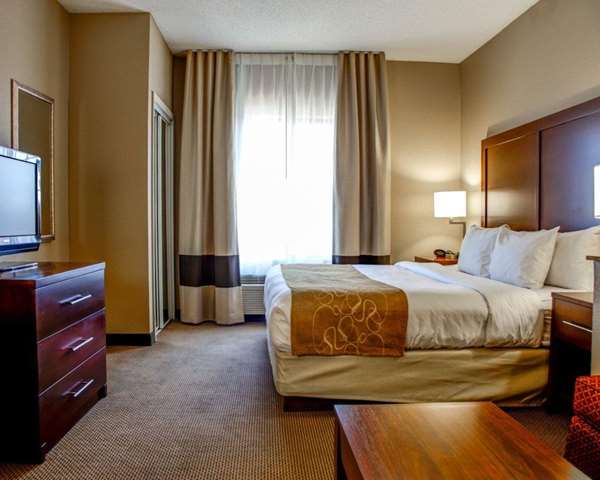 Suite - Comfort Suites Gadsden - I-59, Exit 181