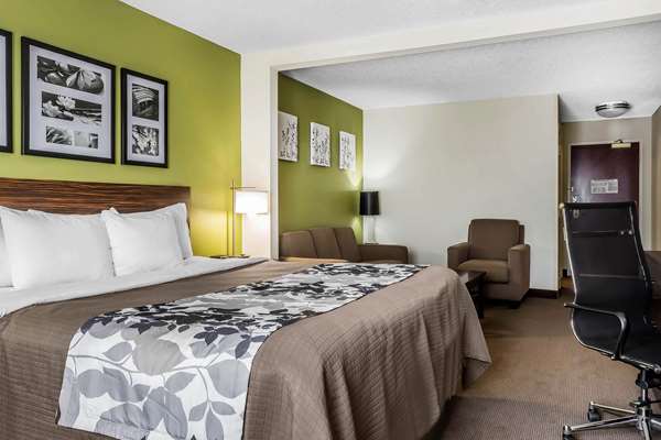 Suite - Sleep Inn & Suites Dothan