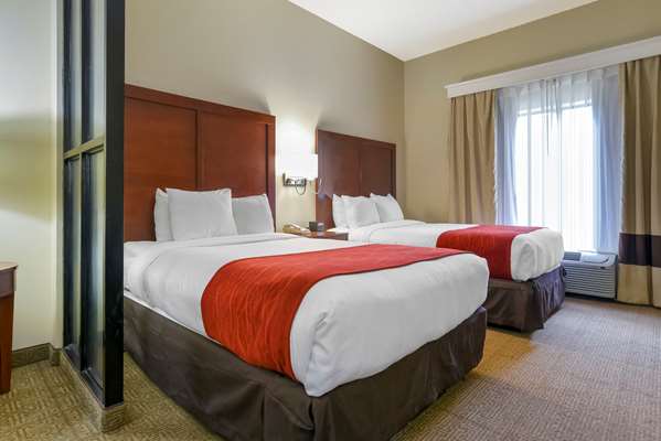 Suite - Comfort Suites Fultondale - I-65, Exit 267