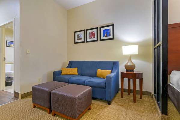 Suite - Comfort Suites Fultondale - I-65, Exit 267