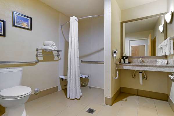 Suite - Comfort Suites Fultondale - I-65, Exit 267