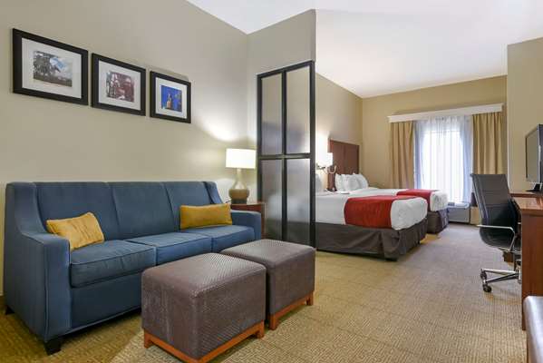 Suite - Comfort Suites Fultondale - I-65, Exit 267