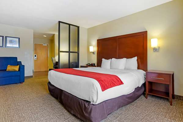 Suite - Comfort Suites Fultondale - I-65, Exit 267