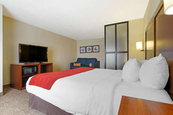 Suite - Comfort Suites Fultondale - I-65, Exit 267