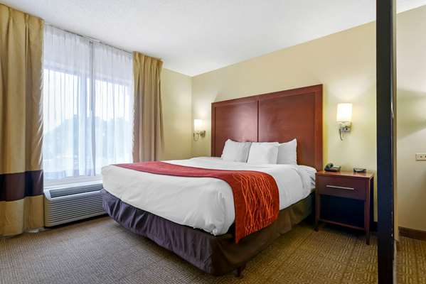 Suite - Comfort Suites Fultondale - I-65, Exit 267