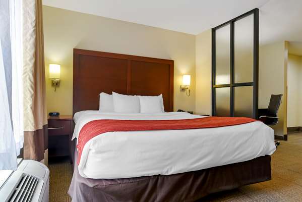 Suite - Comfort Suites Fultondale - I-65, Exit 267