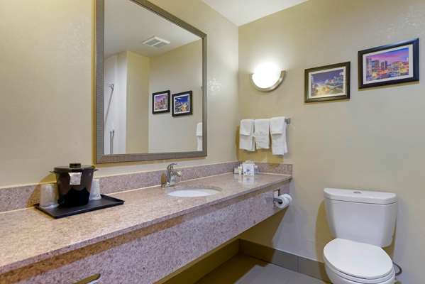 Suite - Comfort Suites Fultondale - I-65, Exit 267